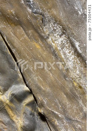 利尻昆布 干し昆布 使い勝手のよい万能背景 利尻昆布 干し昆布 使い勝手のよい万能背景 75004431