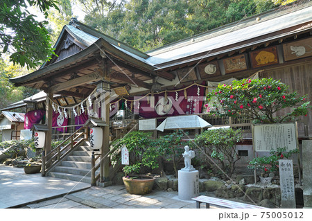 【木本八幡宮】 和歌山県和歌山市西庄 【木本八幡宮】 和歌山県和歌山市西庄 75005012
