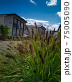 Beautiful view of holiday mobile homes from the perspective of grass 75005090