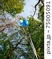 Low angle shot of helium balloons in the park on the background of trees. The freedom concept 75005091
