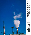 Vertical shot of smoke pipe - air pollution concept 75005094