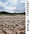 Beautiful view of dunes and sands in the Baltic Sea, Poland 75005097