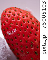 Macro view of the seeds of the ripe red strawberry and a piece of ice on it on a white background 75005103