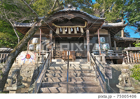 【大年神社】 和歌山県和歌山市梅原 75005406