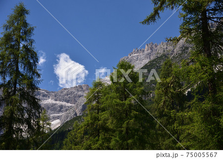 First peaks First peaks 75005567