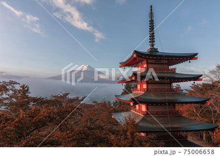 新倉山の紅葉 新倉山の紅葉 75006658