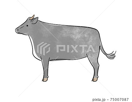 黒毛和牛のイラスト素材