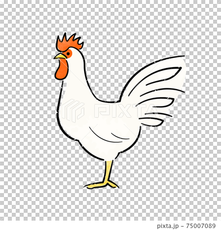 オスの鶏 75007089