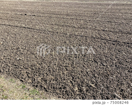 冬の田んぼ 土作り 冬の田んぼ 土作り 75008246