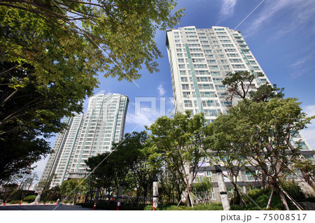 ビル 木 アパート 75008517