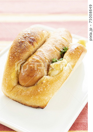 おいしいホットドッグの写真素材