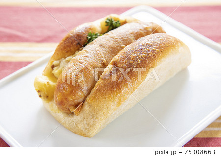 おいしいホットドッグの写真素材