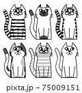 猫　模様　動物　ペット　生き物 75009151