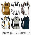 猫　模様　動物　ペット　生き物 75009152