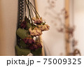 ドライフラワーのある部屋 75009325