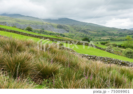 Beautiful mountains in North Wales, United Kingdom 75009901