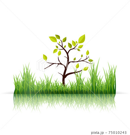 Green Grass and Tree on white Background. Ecology jpeg Illustration 75010243