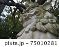 神社の狛犬 75010281