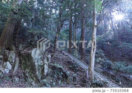 筑波山麓、白滝神社 筑波山麓、白滝神社 75010368