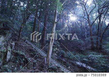 筑波山麓、白滝神社 75010369
