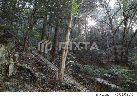筑波山麓、白滝神社 筑波山麓、白滝神社 75010370