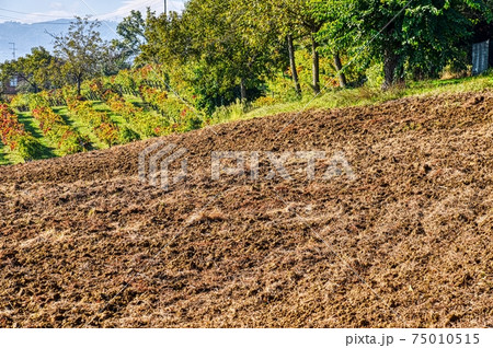 Worked land Worked land 75010515