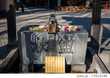 川越八幡宮の花手水 75010586