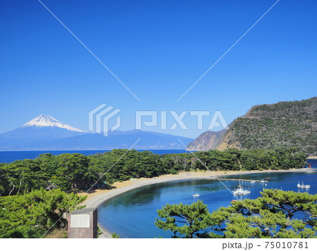静岡県 御浜岬と富士 2月 静岡県 御浜岬と富士 2月 75010781