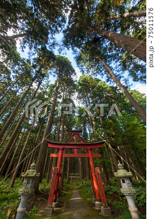 山王日吉神社の山王鳥居 山王日吉神社の山王鳥居 75011576