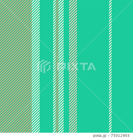 Stripes pattern vector background. Colorful stripe abstract texture. Stripes pattern vector background. Colorful stripe abstract texture. 75012903