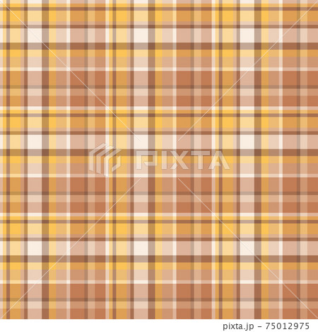 Plaid seamless pattern. Vector background of textile ornament. Flat fabric design. 75012975