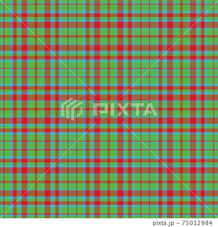 Plaid seamless pattern. Vector background of textile ornament. Flat fabric design. 75012984