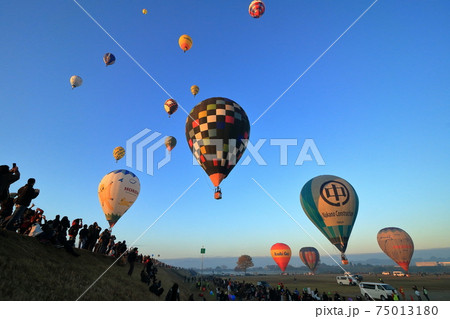 青空に飛び立つバルーンを鑑賞する人々 75013180