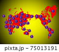 世界の新型コロナ感染分布図　イメージ 75013191