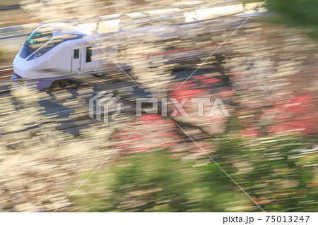 紅梅と常磐線ひたち 75013247