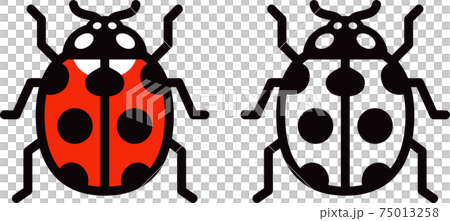 Cartoon ladybug icon Cartoon ladybug icon 75013258