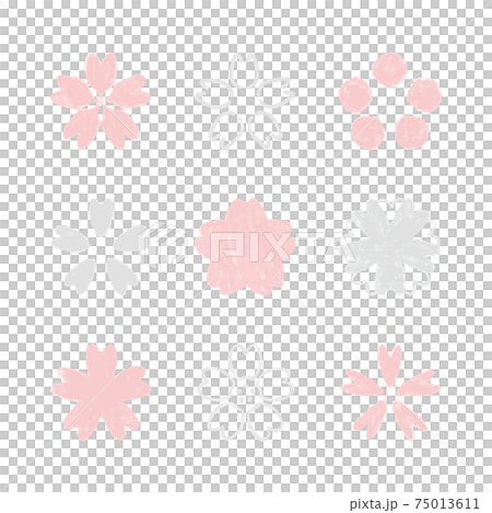櫻花粉色插畫矢量手繪風格 75013611