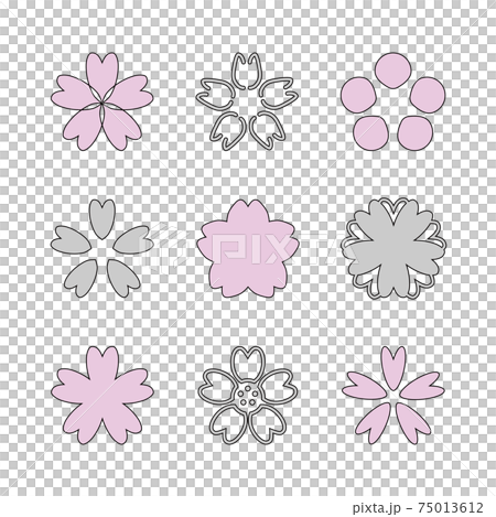 Sakura Sakura Pink Vector 75013612