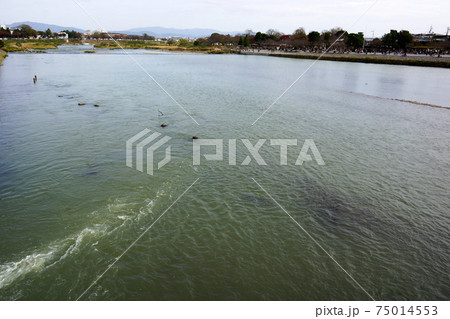 保津川の風景 75014553