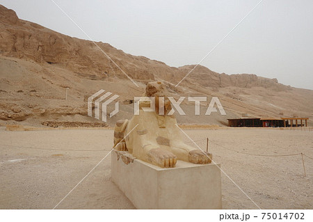 エジプトの遺跡、ハトシェプスト女王葬祭殿(Mortuary Temple of Hatshepsut エジプトの遺跡、ハトシェプスト女王葬祭殿(Mortuary Temple of Hatshepsut 75014702