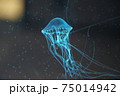 青いクラゲ 75014942