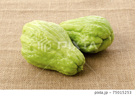 ハヤトウリ ハヤトウリ 75015253