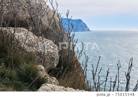 view of the winter sea from a high coastal cliff 75015548