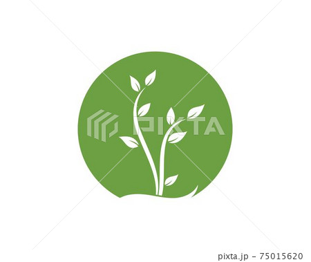 plant  icon logo vector illustration design 75015620