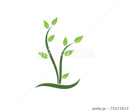 plant  icon logo vector illustration design 75015623