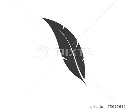 feather icon illustration vector template 75015632