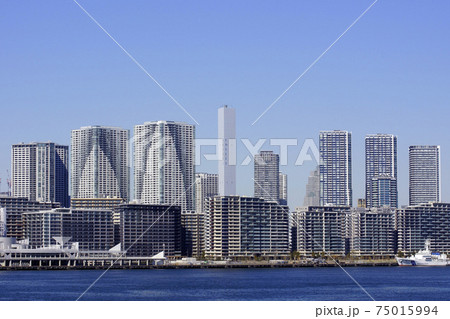 晴海埠頭のマンション群 75015994