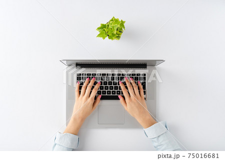 Young woman hands using laptop on white table with flower. Office desktop. Top view 75016681