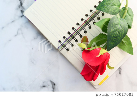 red rose flower on notepad on table red rose flower on notepad on table 75017083