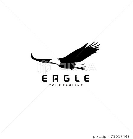 Eagle bird negative space. Vector logo icon template	 75017443